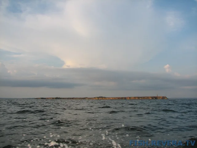 Рыбаковка — Крым, 2010 · фото 124