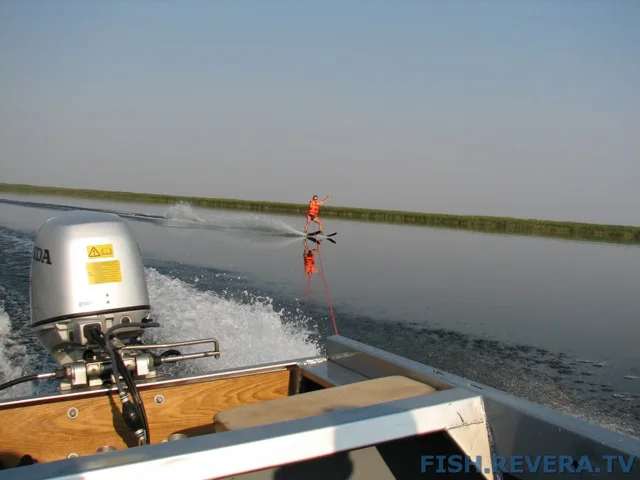 Грибовка — Кизомыс, 2008 · фото 126