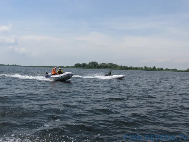 Рыбаковка — Новая Каховка, 2011 · фото 13