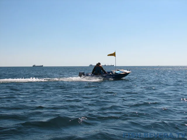 Грибовка — Кизомыс, 2008 · фото 178