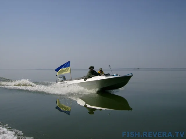 Грибовка — Кизомыс, 2008 · фото 11