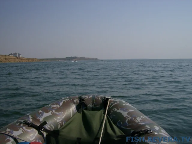 Грибовка — Кизомыс, 2008 · фото 5