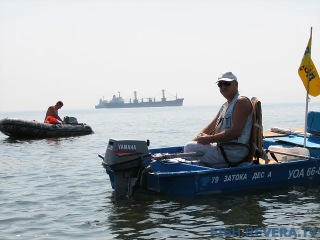 Грибовка — Кизомыс, 2008 · фото 62