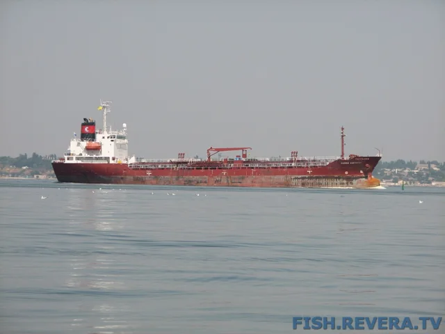Грибовка — Кизомыс, 2008 · фото 80