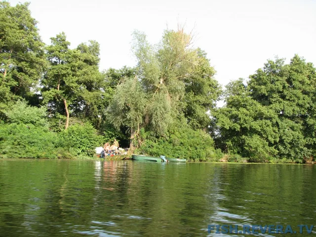 Грибовка — Кизомыс, 2008 · фото 104