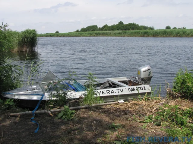 Рыбаковка — Новая Каховка, 2011 · фото 4