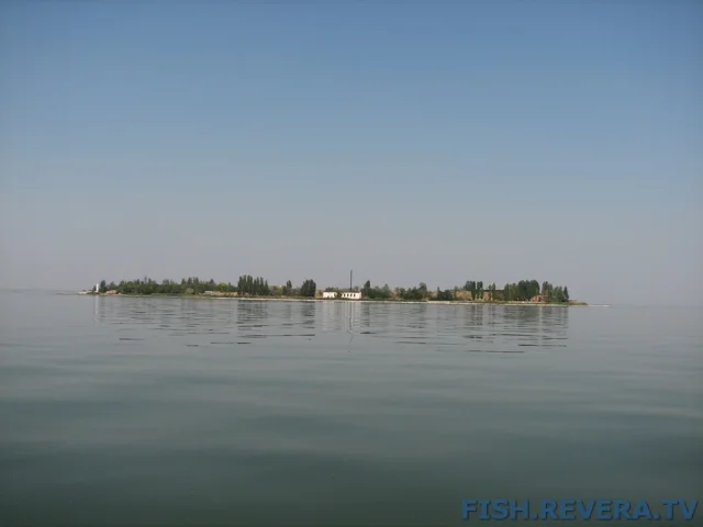 Грибовка — Кизомыс, 2008 · фото 82
