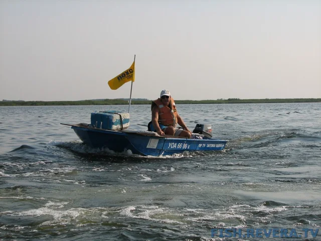 Грибовка — Кизомыс, 2008 · фото 99