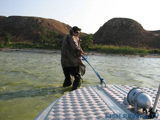 Грибовка — Кизомыс, 2008 · фото 161