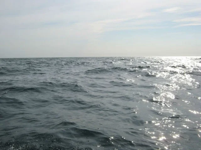 Одесса — Тарханкут: дневник Андрея, 2012 · фотография из авторского рассказа