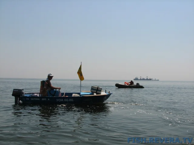 Грибовка — Кизомыс, 2008 · фото 61