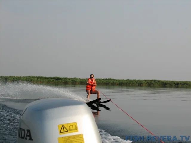 Грибовка — Кизомыс, 2008 · фото 128