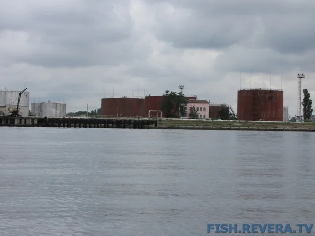 Рыбаковка — Новая Каховка, 2011 · фото 40
