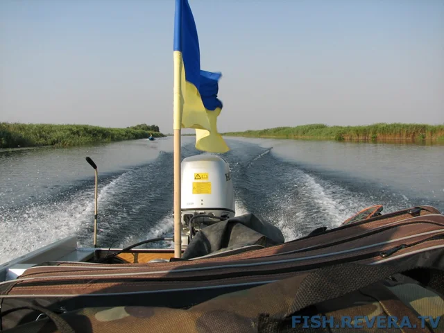 Грибовка — Кизомыс, 2008 · фото 110
