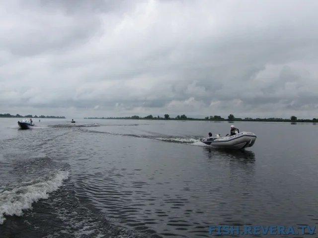 Рыбаковка — Новая Каховка, 2011 · фото 29