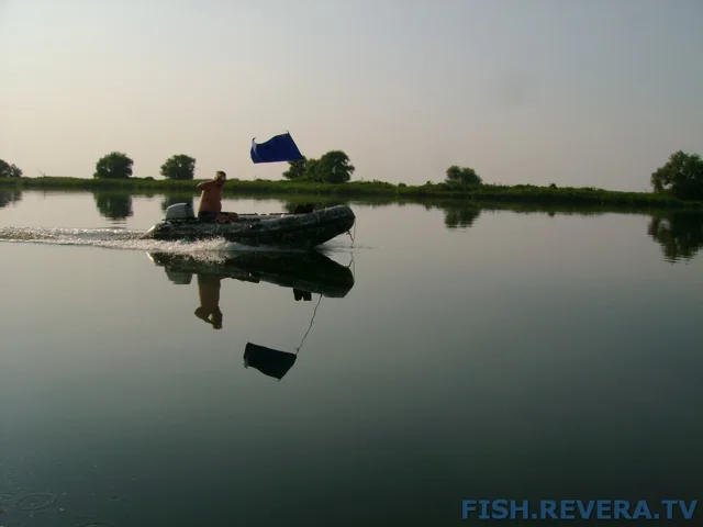 Грибовка — Кизомыс, 2008 · фото 123