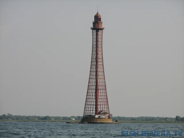 Грибовка — Кизомыс, 2008 · фото 94